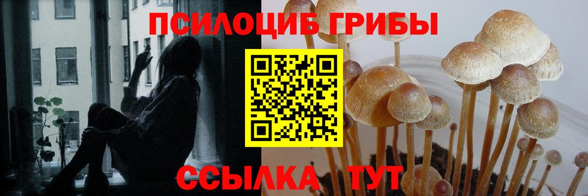 Псилоцибиновые грибы Psilocybe  Вход с VPN  Галлюциногенные грибы Cubensis  Саров 